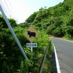 長崎県平戸をドライブ。根獅子の浜海水浴場