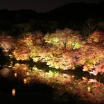 佐賀県武雄市の御船山楽園のライトアップを撮影してきた